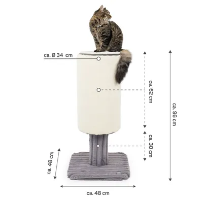 Canadian Cat Company Kratzstamm JASPER
