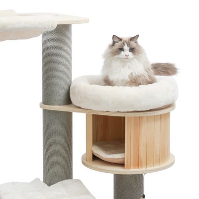 Canadian Cat Company Kratzbaum REMY