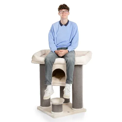 Canadian Cat Company Kratzbaum CALGARY Canadian Cat Company Kratzbaum CALGARY