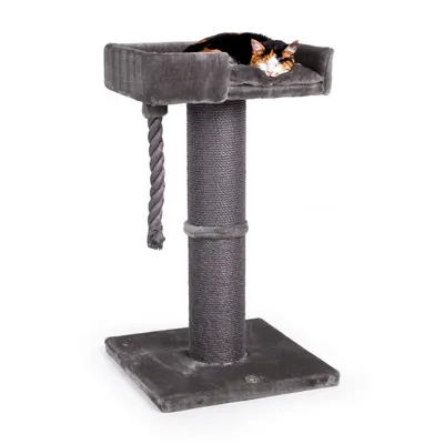 Canadian Cat Company Kratzbaum WATSON mit dicker Sisalsäule