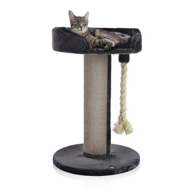 Canadian Cat Company Kratzbaum ONTARIO