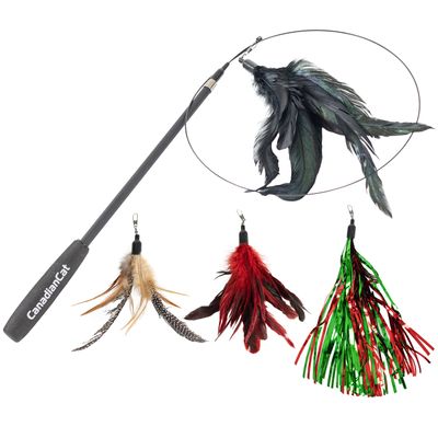 Canadian Cat Company Teleskop Katzenangel-Set mit 4 Wedeln