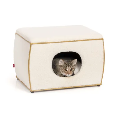 Canadian Cat Company Katzenbett NELSON
