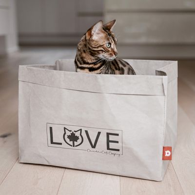 Canadian Cat Company Katzenbett WINNIPEG aus waschbarem Papier