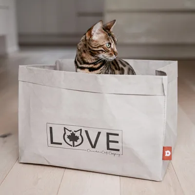 Canadian Cat Company Katzenbett WINNIPEG aus waschbarem Papier Canadian Cat Company Katzenbett WINNIPEG aus waschbarem Papier