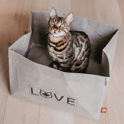 Canadian Cat Company Katzenbett WINNIPEG aus waschbarem Papier