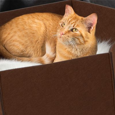 Canadian Cat Company Katzenbett Filzlounge AVA Gr. M