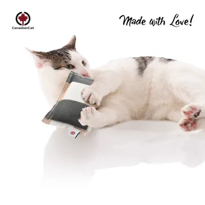Canadian Cat Company Spielkissen mit Baldrian Canadian Cat Company Spielkissen mit Baldrian