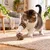 Canadian Cat Company Katzenspielzeug aus Matatabi Prisma mit Catnip-Kugeln Canadian Cat Company Katzenspielzeug aus Matatabi Prisma mit Catnip-Kugeln