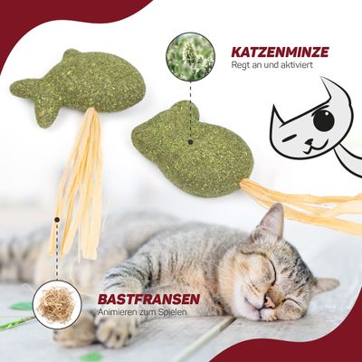 Canadian Cat Company Katzenspielzeug Katzenminze