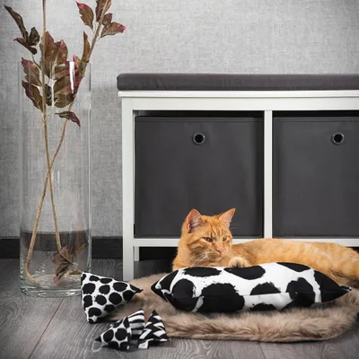 Canadian Cat Company Spielkissen mit Katzenminze Canadian Cat Company Spielkissen mit Katzenminze