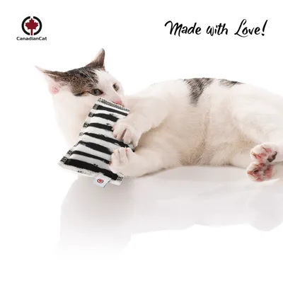 Canadian Cat Company Spielkissen mit Katzenminze Canadian Cat Company Spielkissen mit Katzenminze