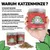 Canadian Cat Company Katzenminze Frischedose 60g Canadian Cat Company Katzenminze Frischedose 60g