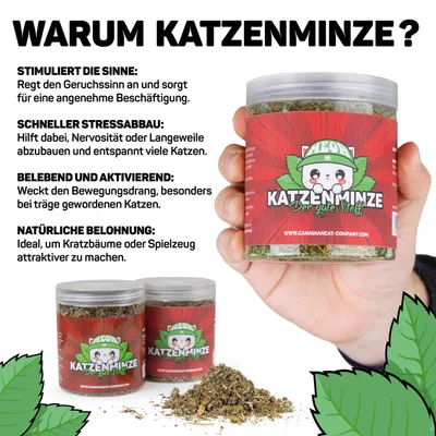 Canadian Cat Company Katzenminze Frischedose 60g Canadian Cat Company Katzenminze Frischedose 60g