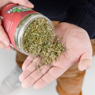 Canadian Cat Company Katzenminze Frischedose 60g