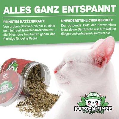 Canadian Cat Company Katzenminze Frischedose 60g Canadian Cat Company Katzenminze Frischedose 60g