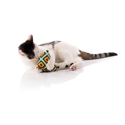 Canadian Cat Company Schmusekissen 6er-Set Katzenminze Pyramide XL