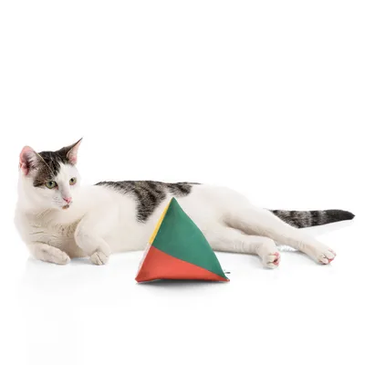 Canadian Cat Company Schmusekissen 6er-Set Katzenminze Pyramide XL Canadian Cat Company Schmusekissen 6er-Set Katzenminze Pyramide XL