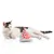 Canadian Cat Company Schmusekissen 6er-Set Katzenminze Pyramide XL Canadian Cat Company Schmusekissen 6er-Set Katzenminze Pyramide XL