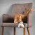 Canadian Cat Company Schmusekissen Pyramide XL mit Katzenminze Canadian Cat Company Schmusekissen Pyramide XL mit Katzenminze
