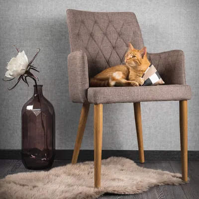 Canadian Cat Company Schmusekissen Pyramide XL mit Katzenminze Canadian Cat Company Schmusekissen Pyramide XL mit Katzenminze