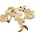 Canadian Cat Company 7er-Set Spielkissen Lederkissen mit Katzenminze Canadian Cat Company 7er-Set Spielkissen Lederkissen mit Katzenminze