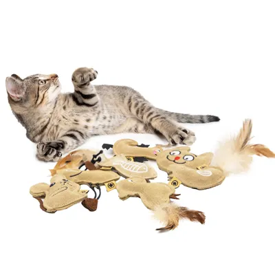 Canadian Cat Company 7er-Set Spielkissen Lederkissen mit Katzenminze Canadian Cat Company 7er-Set Spielkissen Lederkissen mit Katzenminze