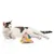 Canadian Cat Company Schmusekissen 6er-Set Katzenminze Pyramide XL Canadian Cat Company Schmusekissen 6er-Set Katzenminze Pyramide XL