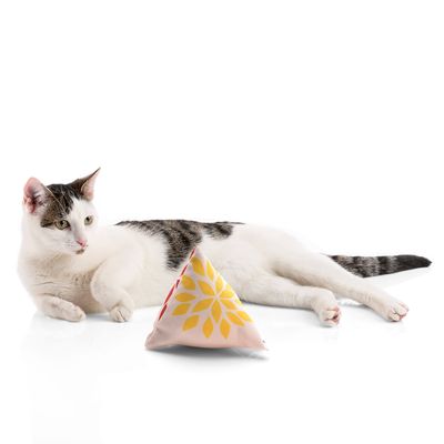 Canadian Cat Company Schmusekissen 6er-Set Katzenminze Pyramide XL