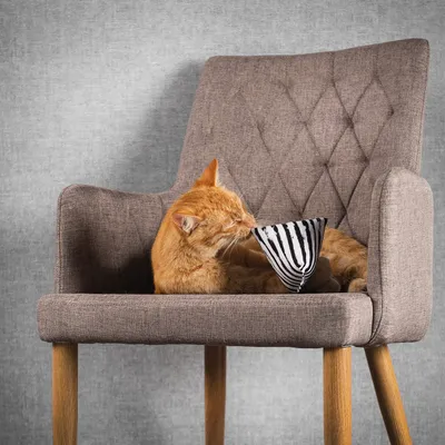 Canadian Cat Company Schmusekissen Pyramide XL mit Katzenminze Canadian Cat Company Schmusekissen Pyramide XL mit Katzenminze