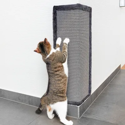 Canadian Cat Company Kratzbrett für Wand & Ecke - SCRATCH CORNER Canadian Cat Company Kratzbrett für Wand & Ecke - SCRATCH CORNER