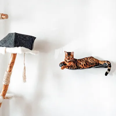 Canadian Cat Company Filz-Hängematte mit Metallhalterung Wandmontage