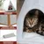 Canadian Cat Company Katzenhöhle CONE aus Filz inkl. Flauschkissen Canadian Cat Company Katzenhöhle CONE aus Filz inkl. Flauschkissen