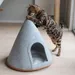 Canadian Cat Company Katzenhöhle CONE aus Filz inkl. Flauschkissen