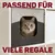 Canadian Cat Company FILZWÜRFEL aus Filz inkl. Flauschkissen Canadian Cat Company FILZWÜRFEL aus Filz inkl. Flauschkissen