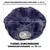 Canadian Cat Company Katzentunnel OTIS Donut-Tunnel inkl. Liegekissen Canadian Cat Company Katzentunnel OTIS Donut-Tunnel inkl. Liegekissen