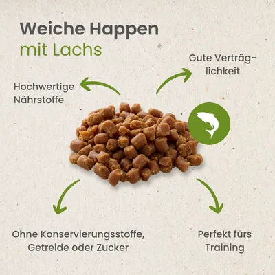 Kauartikel.com Weiche Happen mit Lachs