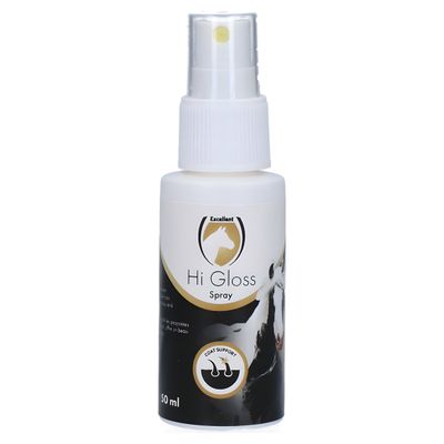 Excellent Horse Hi Gloss Spray