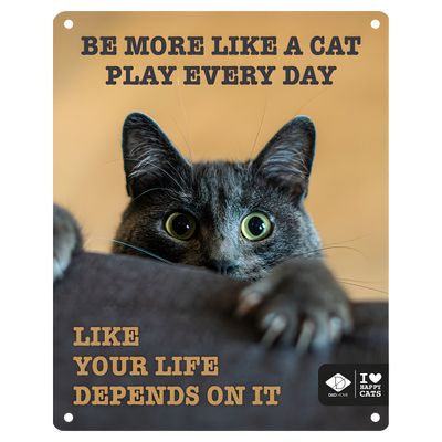 D&D Schild I Love Happy Cats "Play every day"