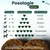 BESTI | Digestion | Compléments Alimentaires Vétérinaires pour Chiens BESTI | Digestion | Compléments Alimentaires Vétérinaires pour Chiens