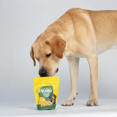 Vutter! Snack Wie Huhn