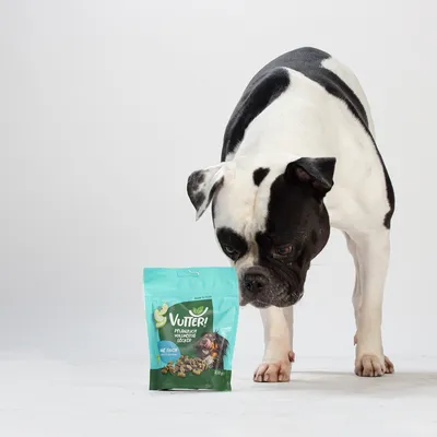 Vutter! Snack Wie Fisch