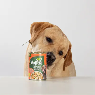 Vutter! Nassfutter wie Pute Vutter! Nassfutter wie Pute