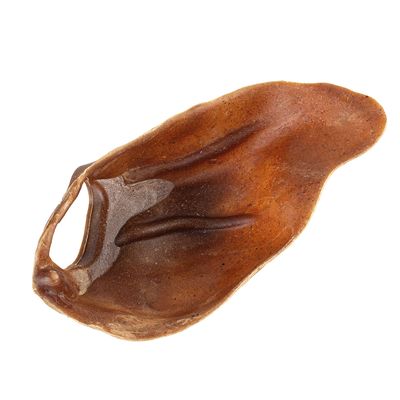Vutter! Kaunsack Wie Schweineohr