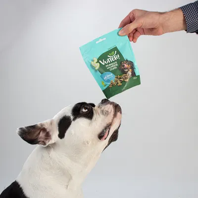 Vutter! Snack wie Fisch