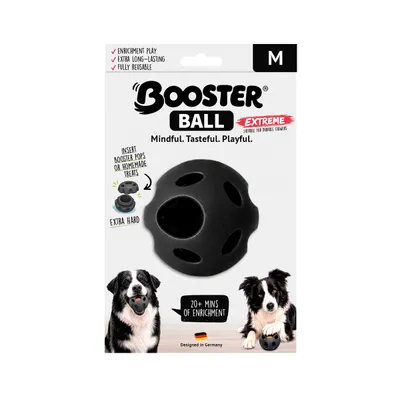 FIDELIS Booster Ball - Size M - schwarz FIDELIS Booster Ball - Size M - schwarz