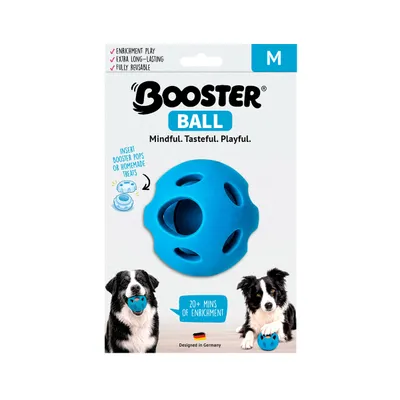 FIDELIS Booster Ball - Size M - blau