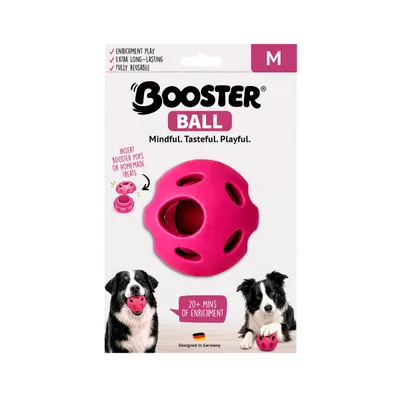 FIDELIS Booster Ball - Size M - pink FIDELIS Booster Ball - Size M - pink