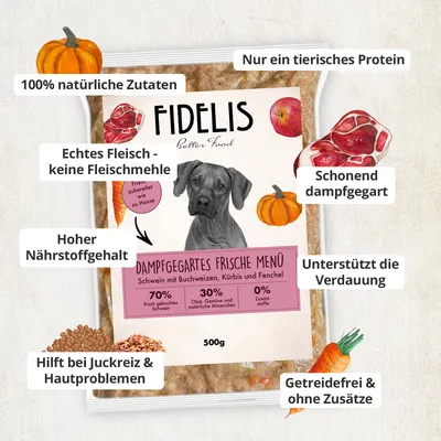 FIDELIS Schwein mit Kürbis, Karotte und Blaubeeren (500g) gefroren FIDELIS Schwein mit Kürbis, Karotte und Blaubeeren (500g) gefroren