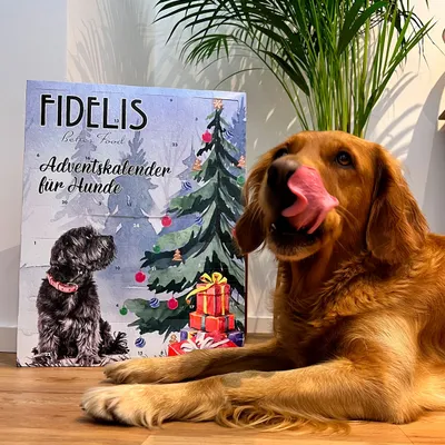 FIDELIS XL-Adventskalender "Weihnachtsbaum" FIDELIS XL-Adventskalender "Weihnachtsbaum"